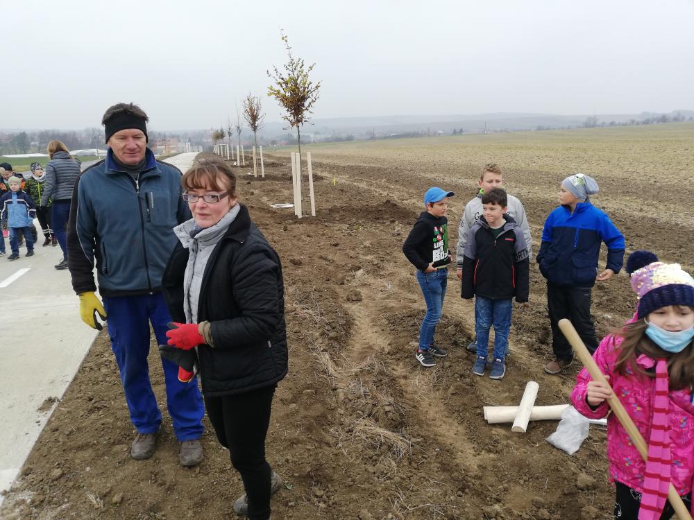 Zasadili jsme stromek - je to habr!